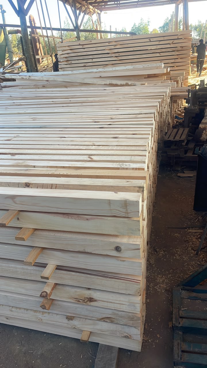 Sapele Wood