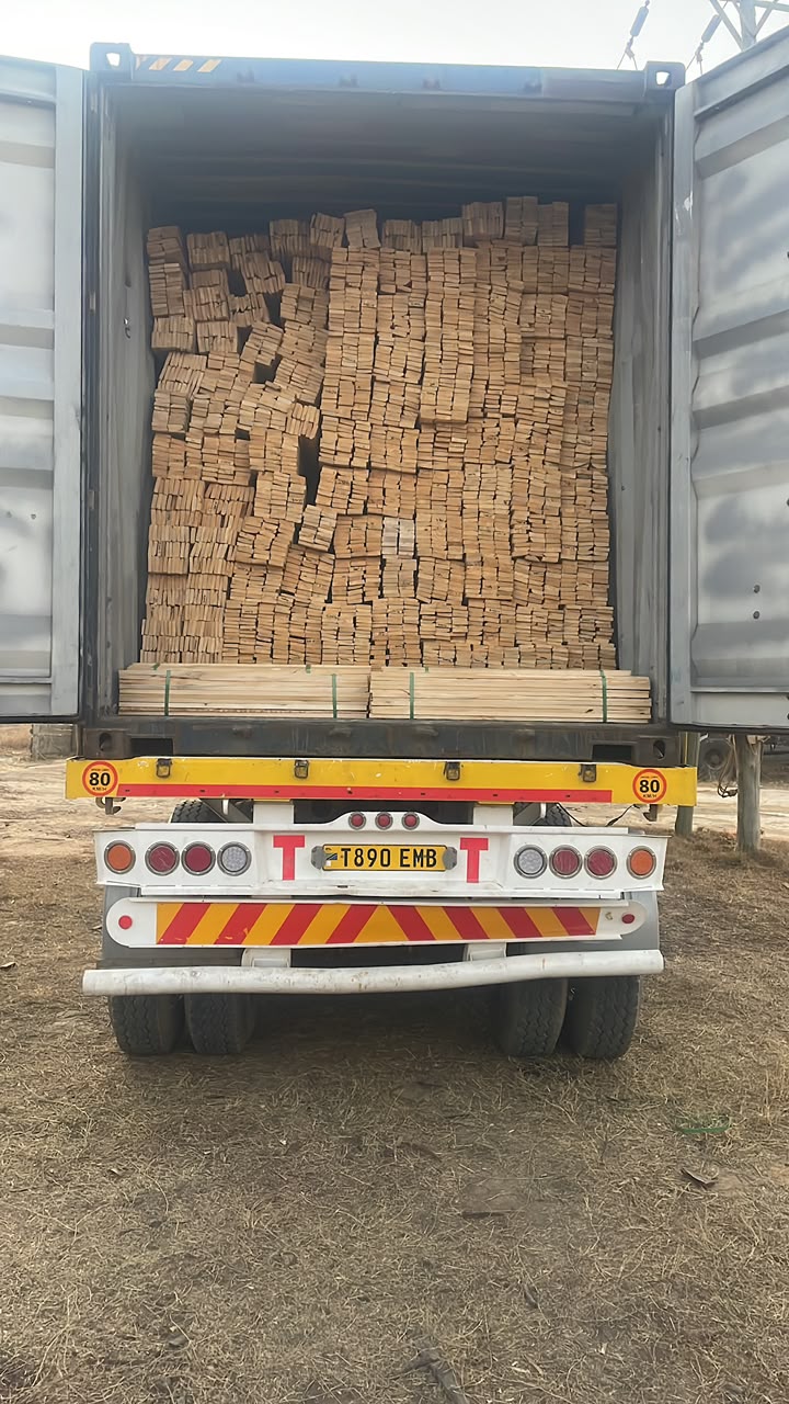 Timber export operations